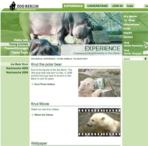 Knut Photo Gallery at the Zoo Berlin